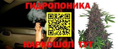 спиды Комсомольск-на-Амуре