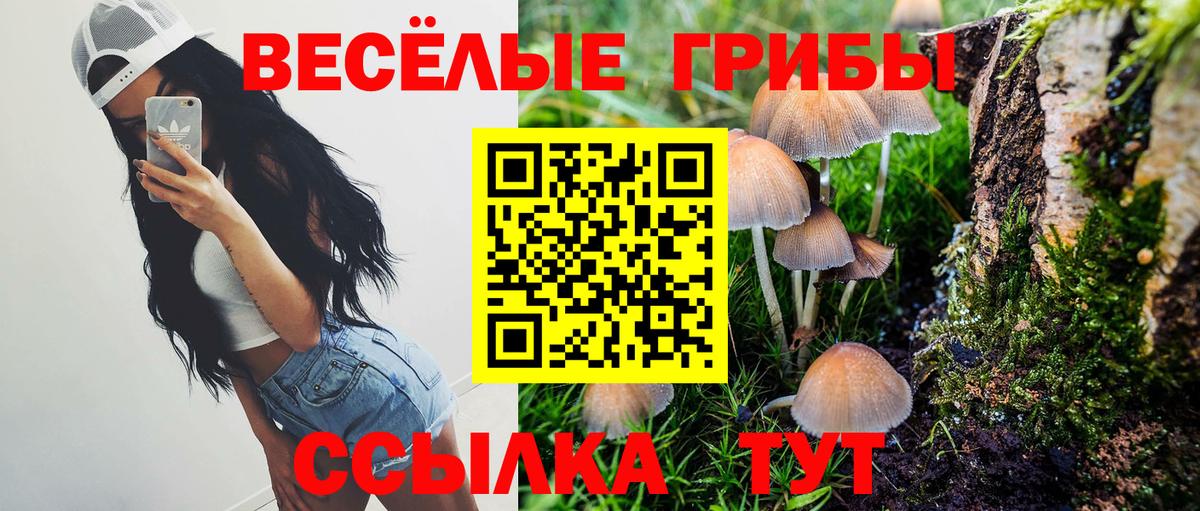 Галлюциногенные грибы Magic Shrooms Коломна