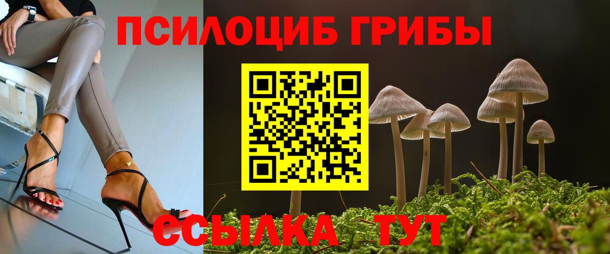 Коломна  Псилоцибиновые грибы мухоморы  Псилоцибиновые грибы Psilocybine cubensis  Вход с VPN 